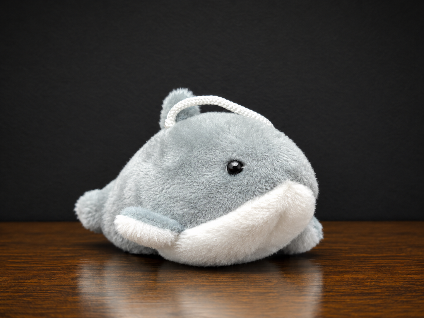 BD4E9412-DB04-4A1B-9436-52F7127DB6CC.png