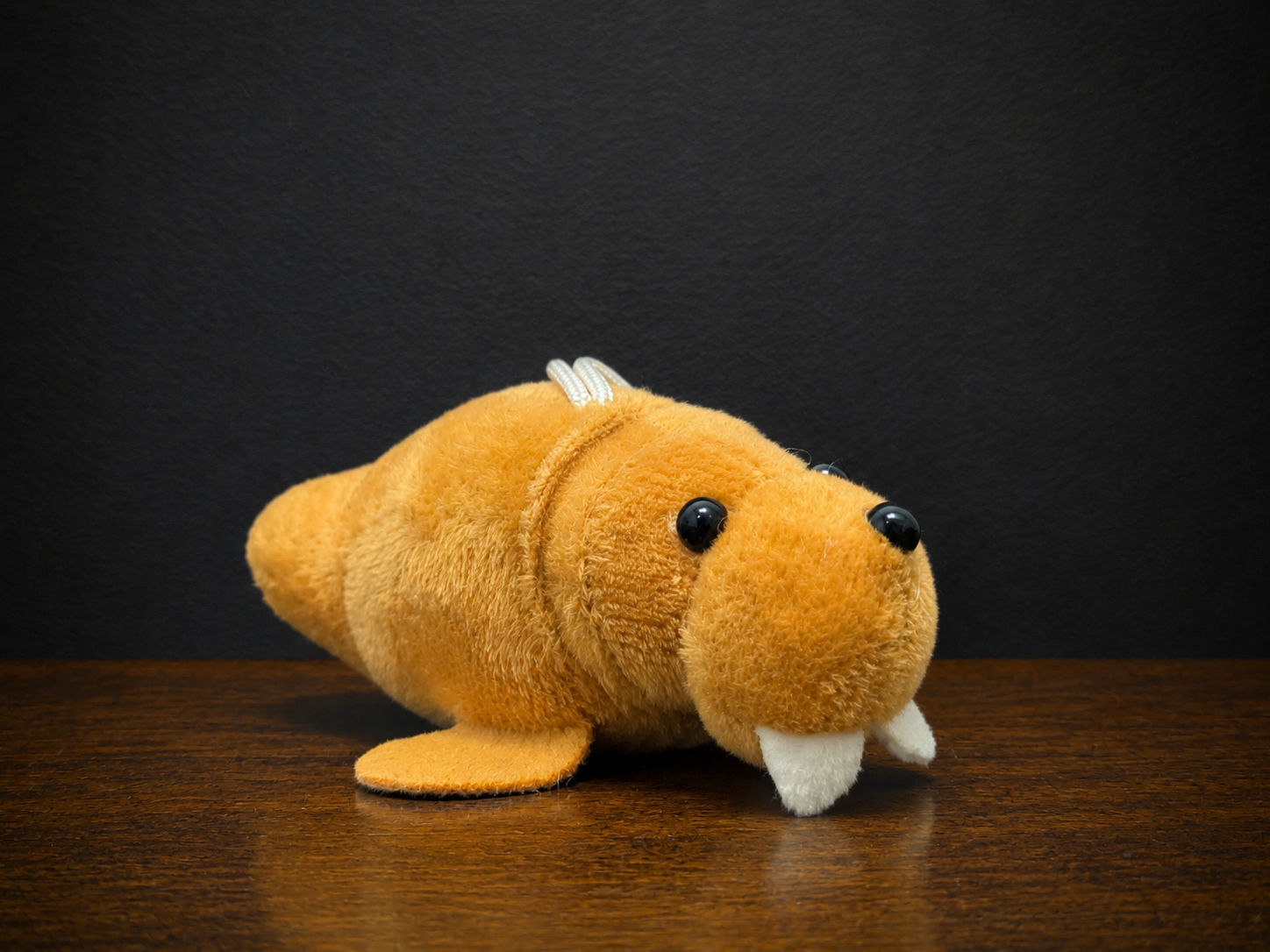 B3B19224-B0DF-4321-84D1-F8D794DA49BC.png