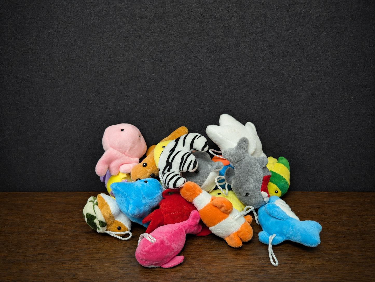 FA5150E5-D582-4974-A697-DDC50FDBDE70.png