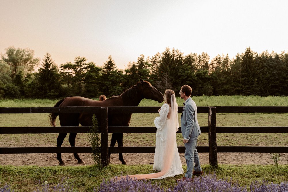 Amare-Studios-how-to-plan-an-ontario-adventure-session-Avalon-lavender-farm-wedding-photos-0011.JPG