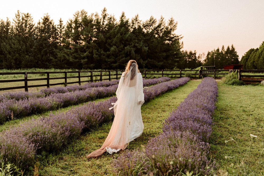 Amare-Studios-how-to-plan-an-ontario-adventure-session-Avalon-lavender-farm-wedding-photos-0082.JPG