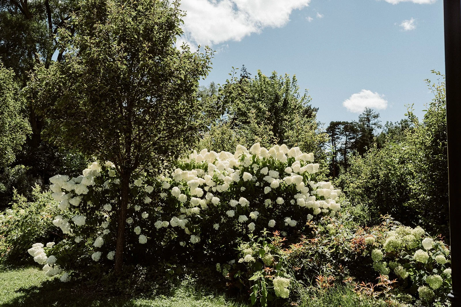 ontario-wedding-venue-harding-waterfront-estate-photography-whitby-amare-studio