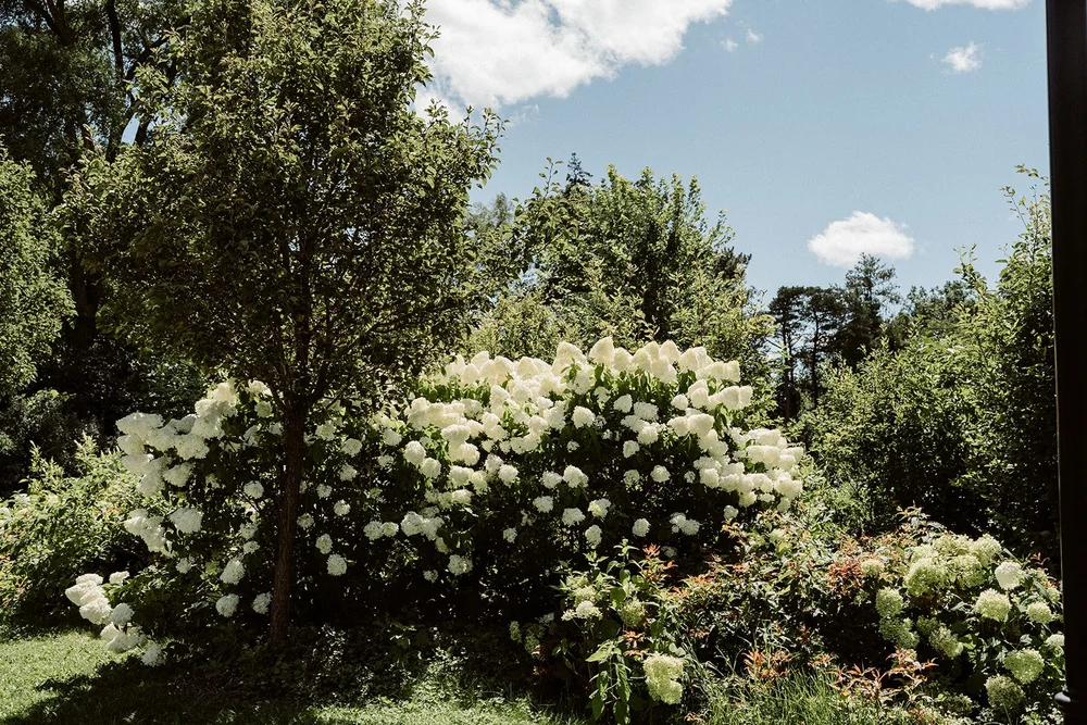 ontario-wedding-venue-harding-waterfront-estate-photography-whitby-amare-studio