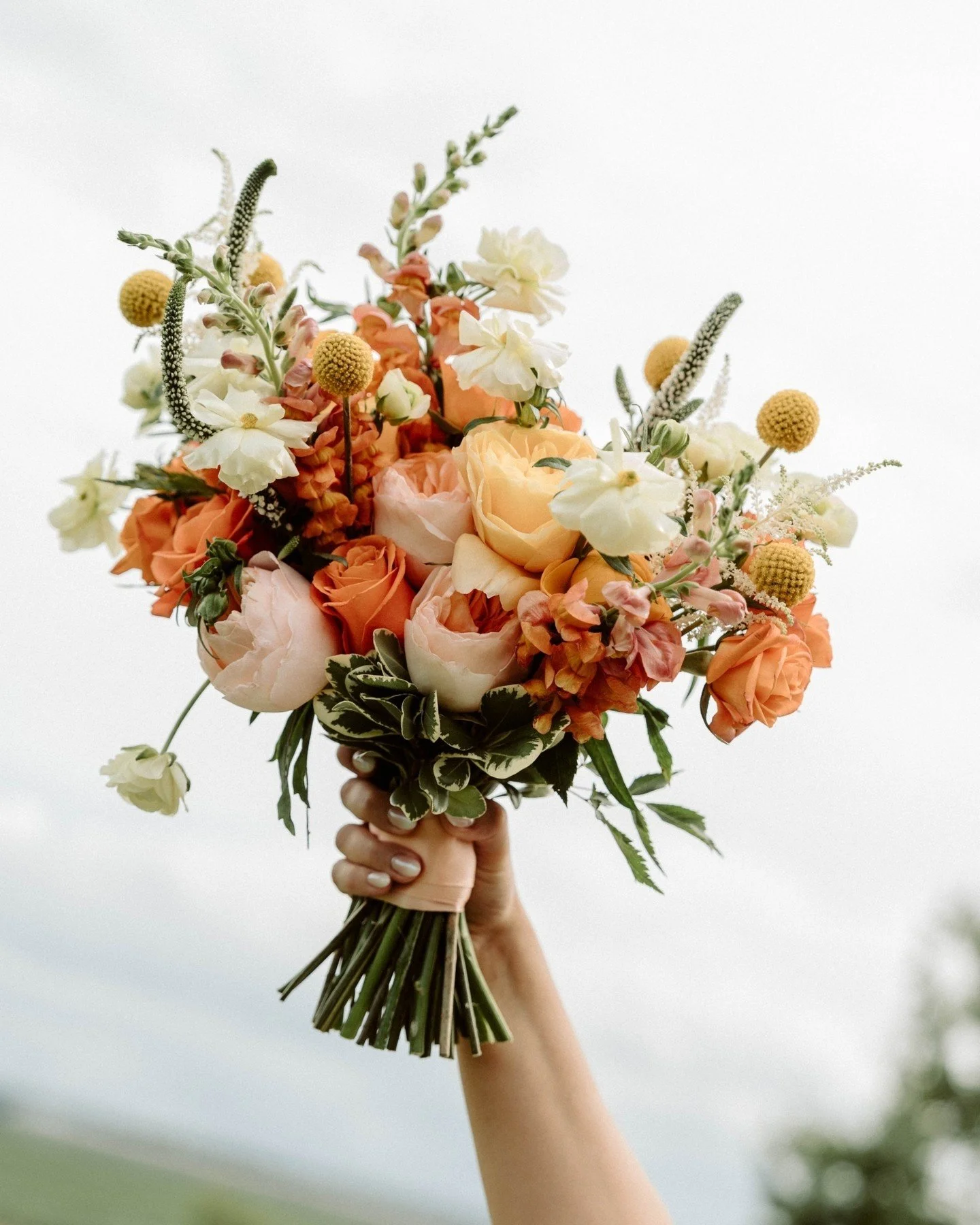 A look into Courtney &amp; Anthony's gorgeous wedding day @theharewineco

Florist: @junefloral.ca
Videographer:  @beautifullifestudios
DJ: @chamberlain_entertainment
Band: @moguzmanmusic
Cake:  @willow_cakes
Hair/Make-up: @artistrybyvictoria
Offician
