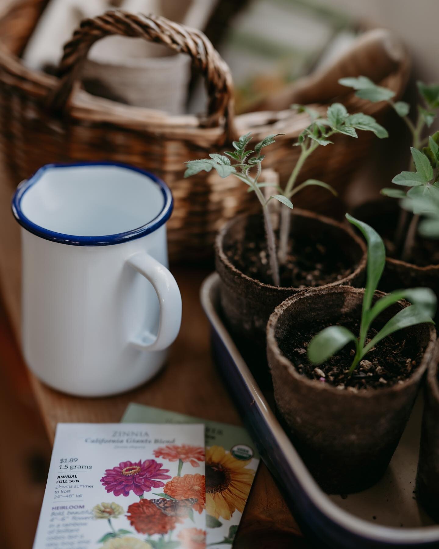 We&rsquo;re keeping the garden situation super simple this year with veggie starts from our local nursery and direct sowing lots of our favorite flower seeds, including sunflowers, zinnias, cosmos and morning glories. We&rsquo;ll also grow potatoes i