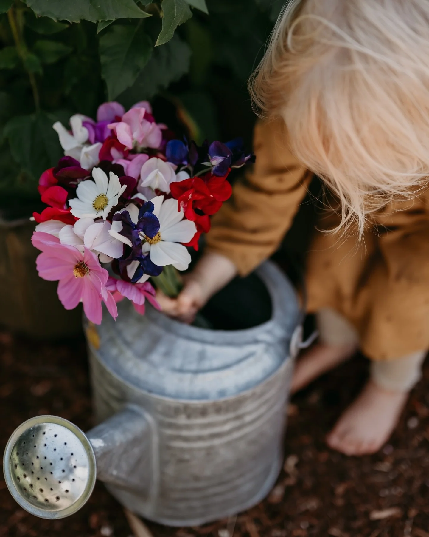 Frances and flowers. A whole August mood. Thumbs up for flowers (see last image).✨💐