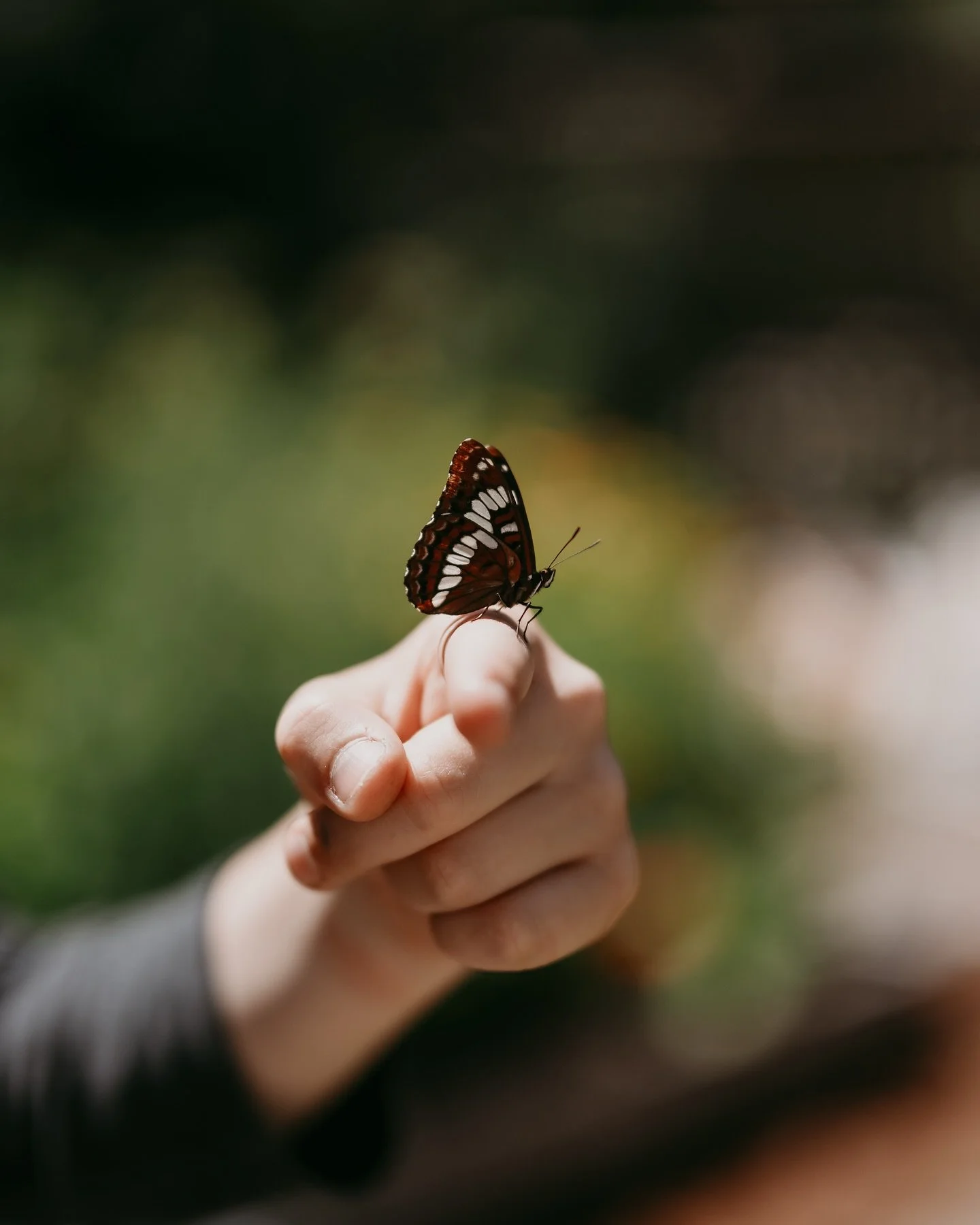 Getting a bit vulnerable taking about loss and addiction here today. If you&rsquo;ve ever known or loved someone who is addicted to drugs (or something else), you can probably relate when I say that their addiction is like a prison. After loosing my 