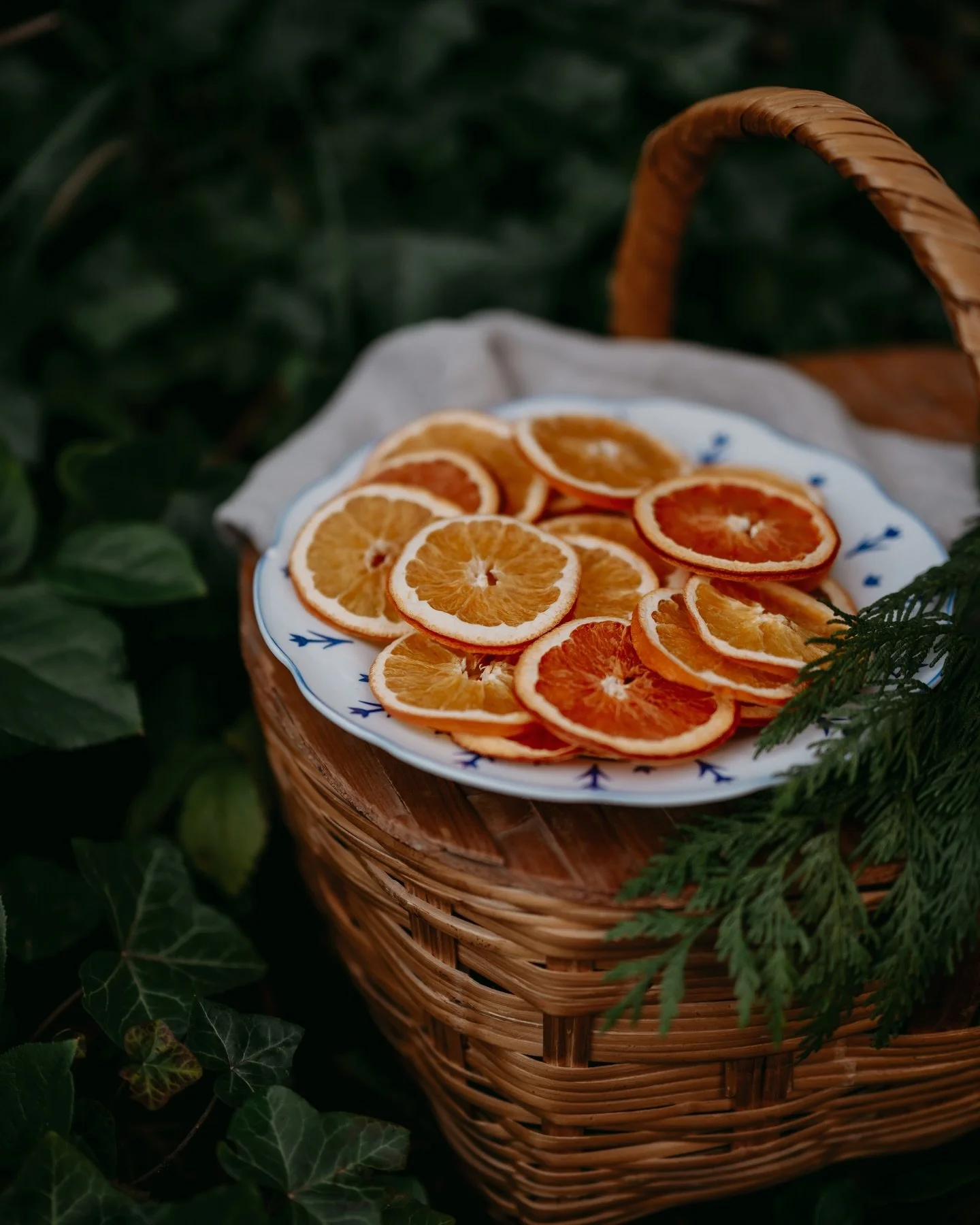 ✨Dried oranges and grapefruit. The simplest holiday decorations are often the most beautiful. I usually make my dried citrus in a dehydrator as I find it&rsquo;s the best way to get the middle dry without over cooking the peel. We love to hang these 