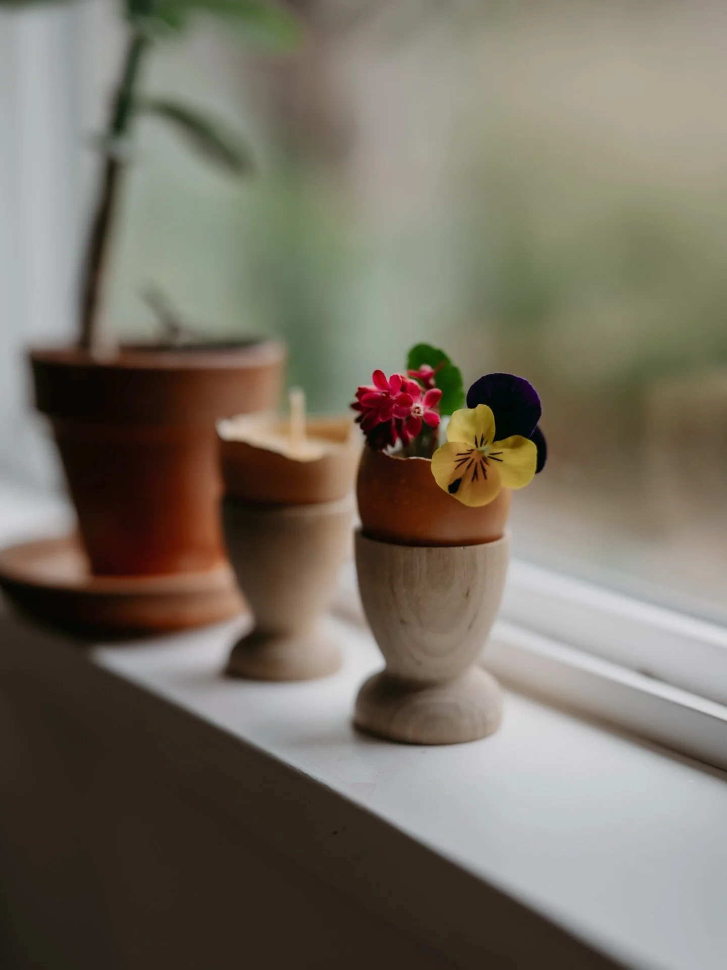 ✨Little things that have been sustaining me this past week.

Eggshells filled with flowers, sunlit play, cozy breakfasts, March blooms, a handmade doll dress (from big sister), and fresh bread.

I&rsquo;ve been noticing and capturing the everyday mor