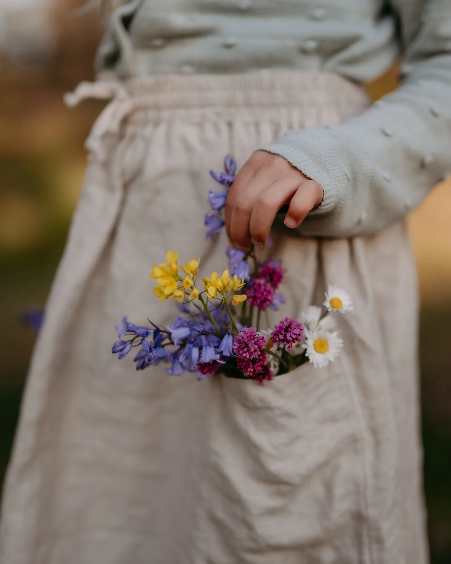 It&rsquo;s that magical time of year
when pockets begin to fill with flowers,
when stopping to look feels like the whole point.