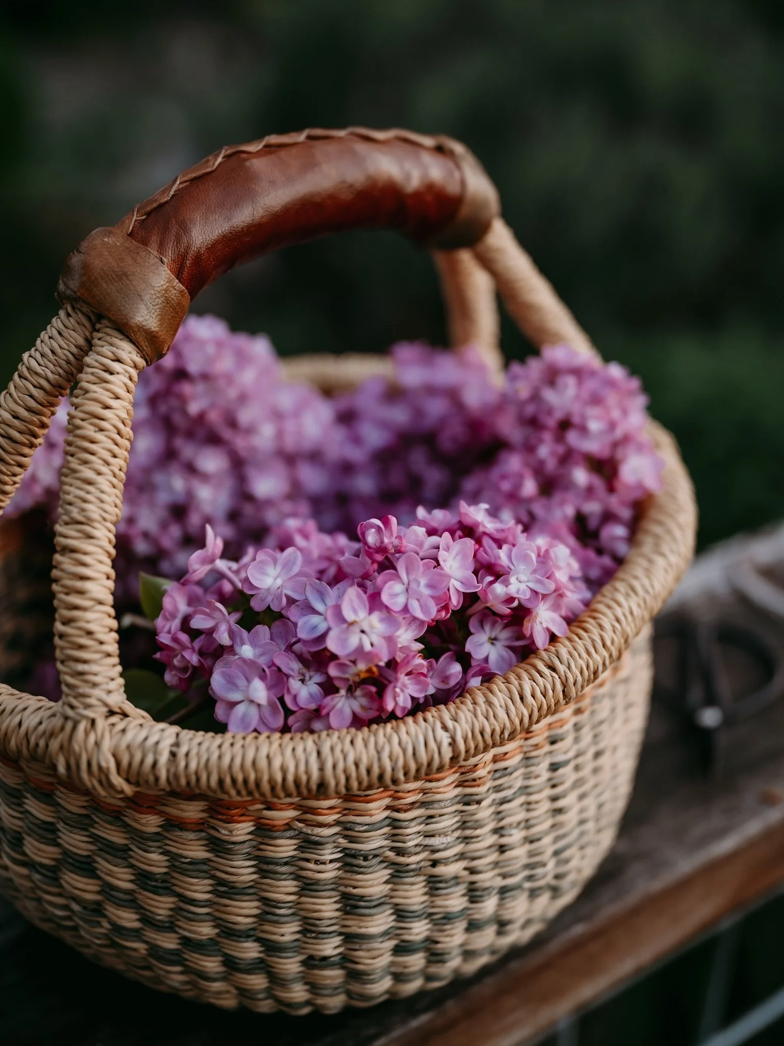 Just a collection of my favorite lilac photos from over the years. This is probably one of my favorite flowers to photograph. And if you&rsquo;ve been around here a while, then you know how much we love lilac water. Simply place a bunch in a jar of w