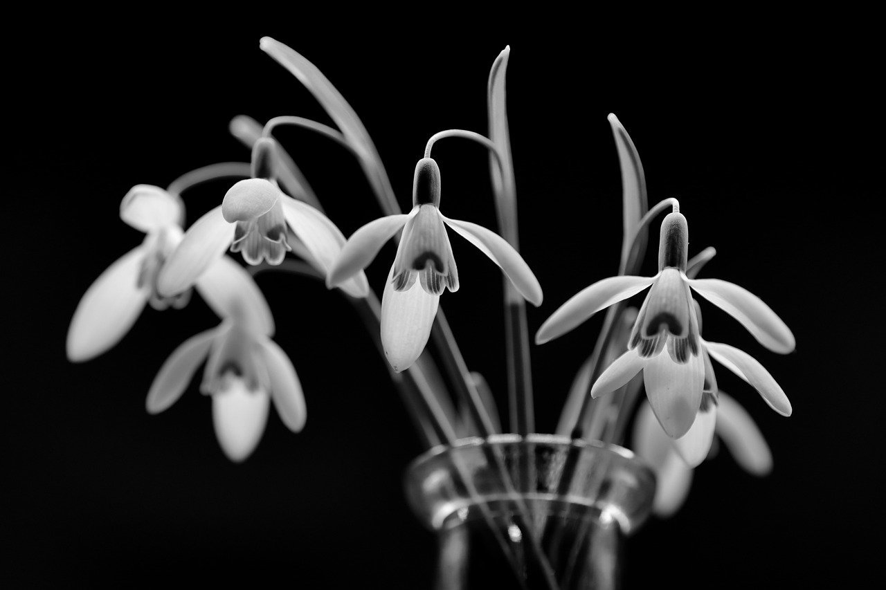 Dancing with Dichotomy: How To Harmonize with Contentment & Growth in Jiu Jitsu & in Life 