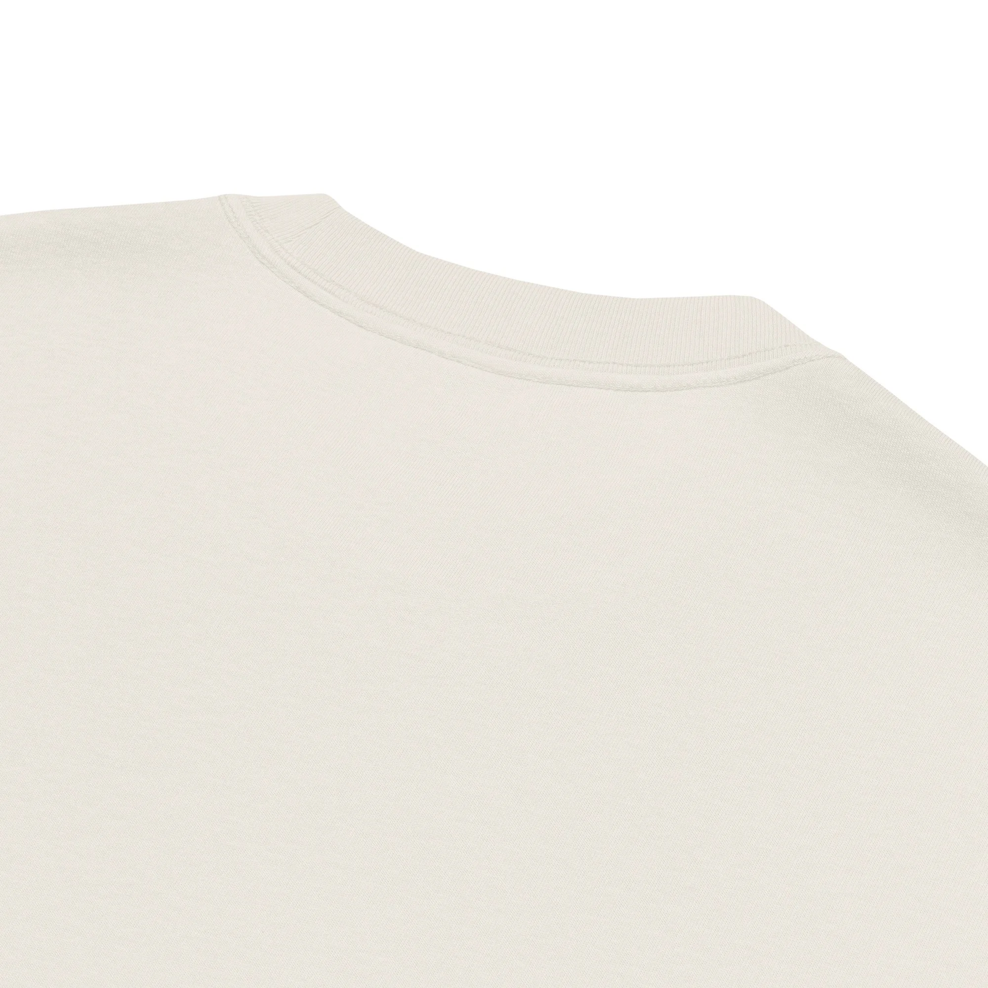 oversized-faded-t-shirt-faded-bone-product-details-68b9a93d72a36.jpg