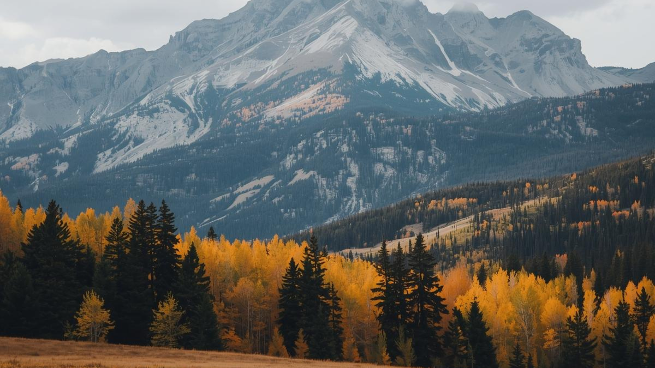 Preparing Your Montana Home for Winter: A Fall Checklist — AMY BREWSTER ...