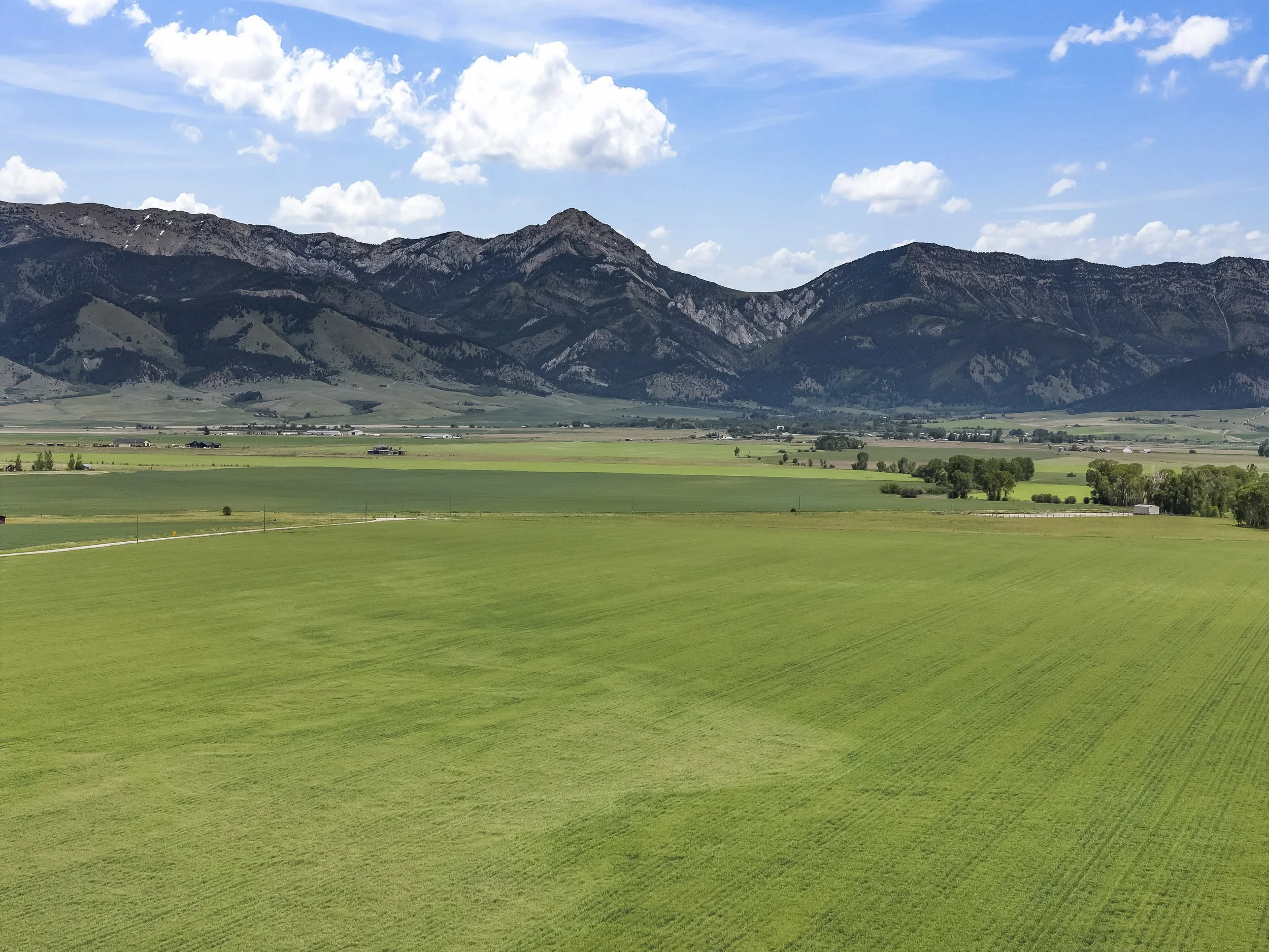 DJI_20260615135517_0056_D.JPG