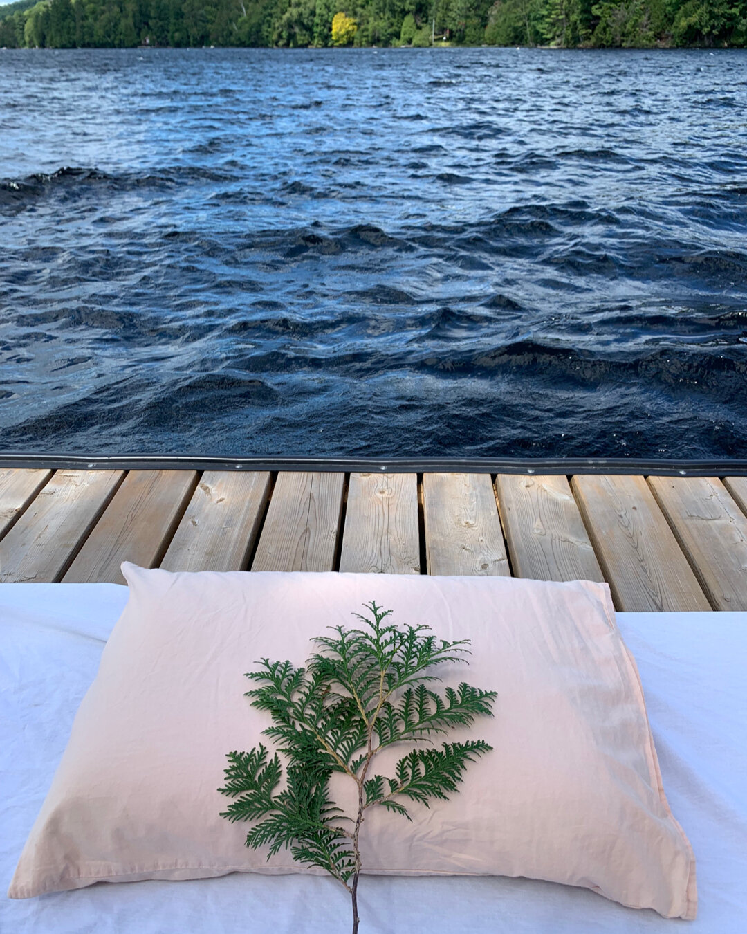 Did you know Ms Jane travels to cottage country? If you're planning a cottage trip, make it even more restful and enjoyable by having a Thai Massage in front of the fire, on the dock, or surrounded by trees. There is almost nothing more magical and r