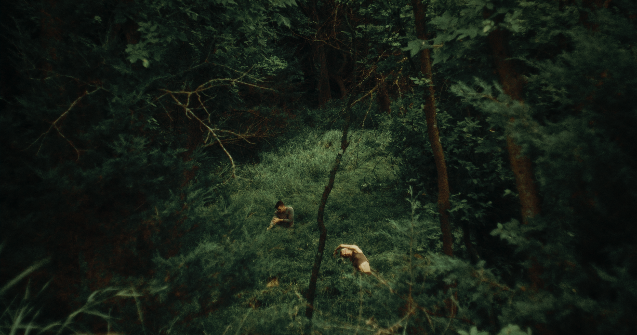 VTNF-Final-Stills-_2.7.1.png