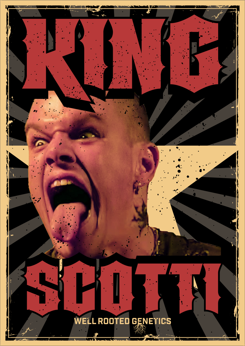 WRG King Scottie Final 2.png