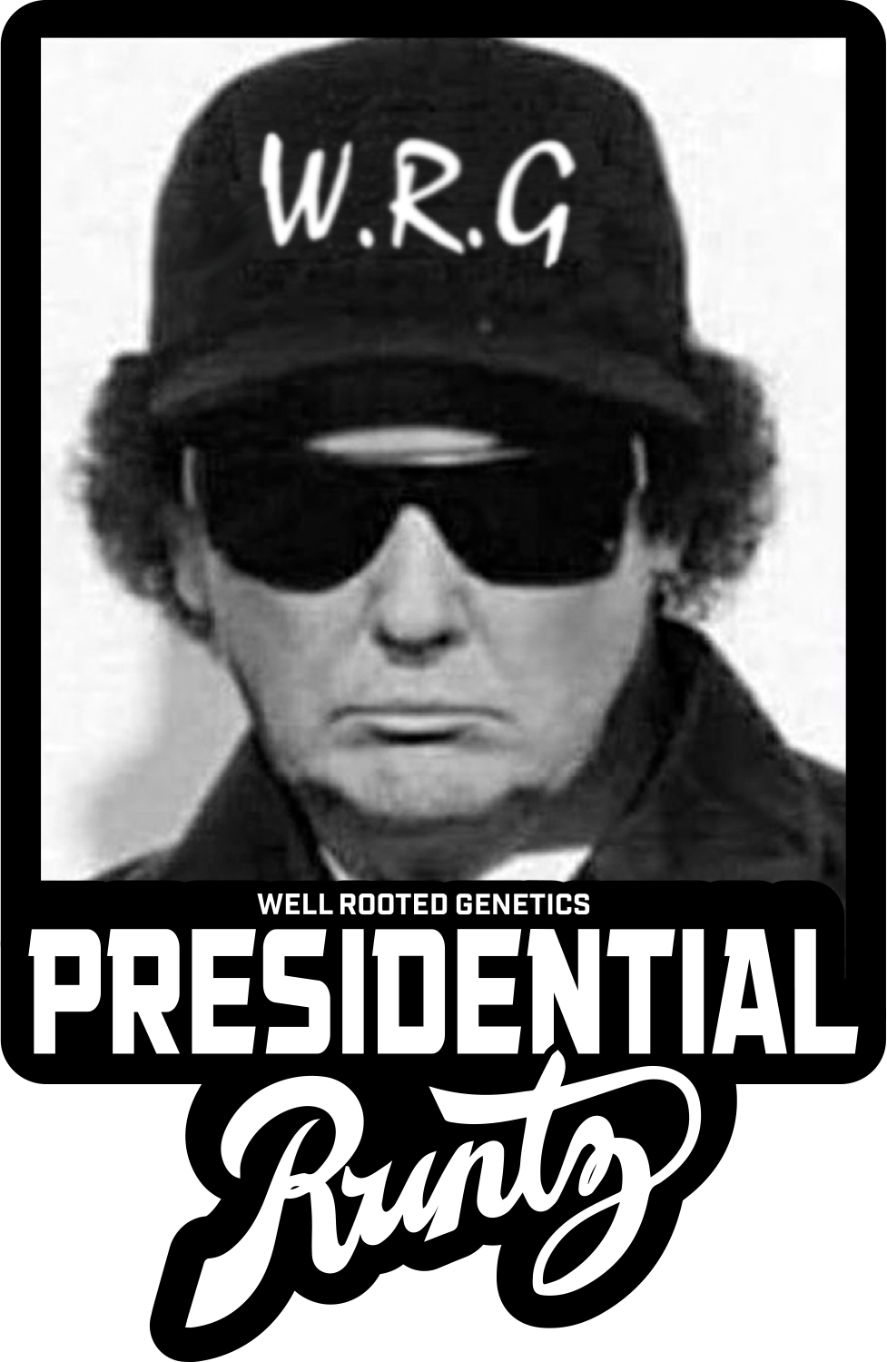 WRG Presidential Runtz Final.png