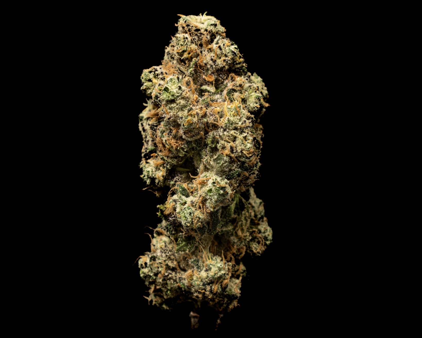 Krypto Chronic