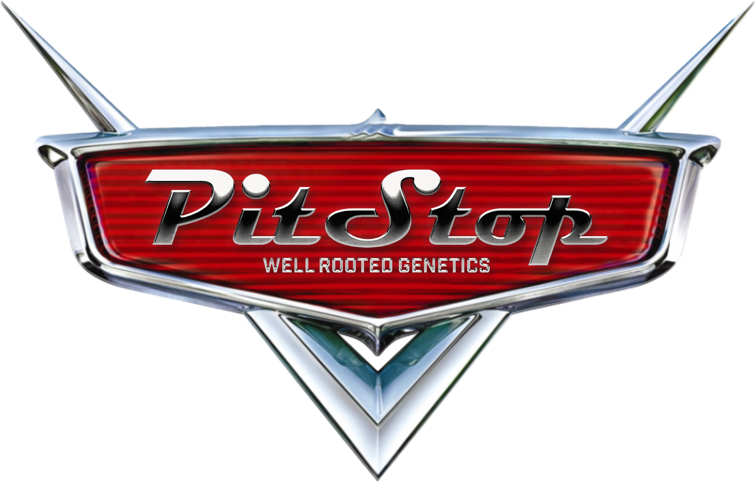 WRG Pit Stop Final.png