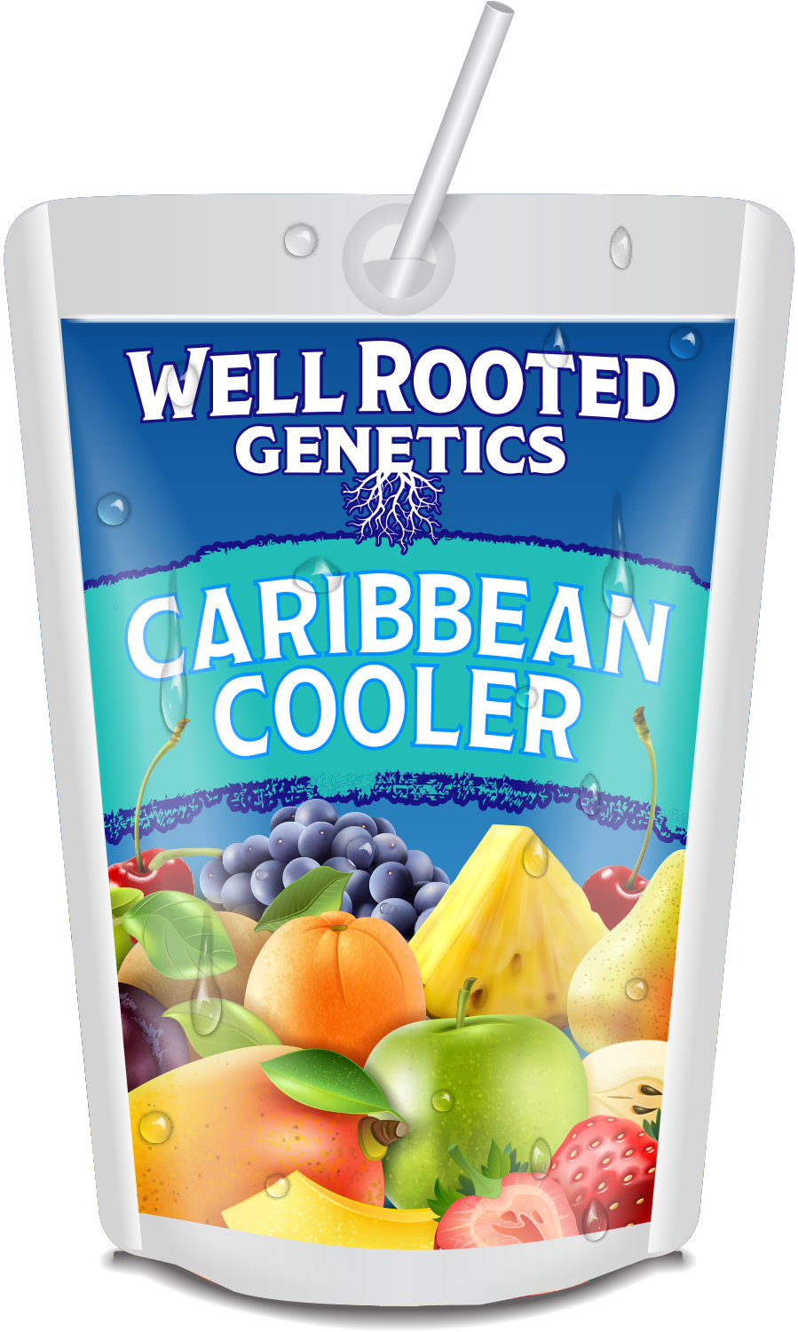 WRG Caribbean Cooler Final.png