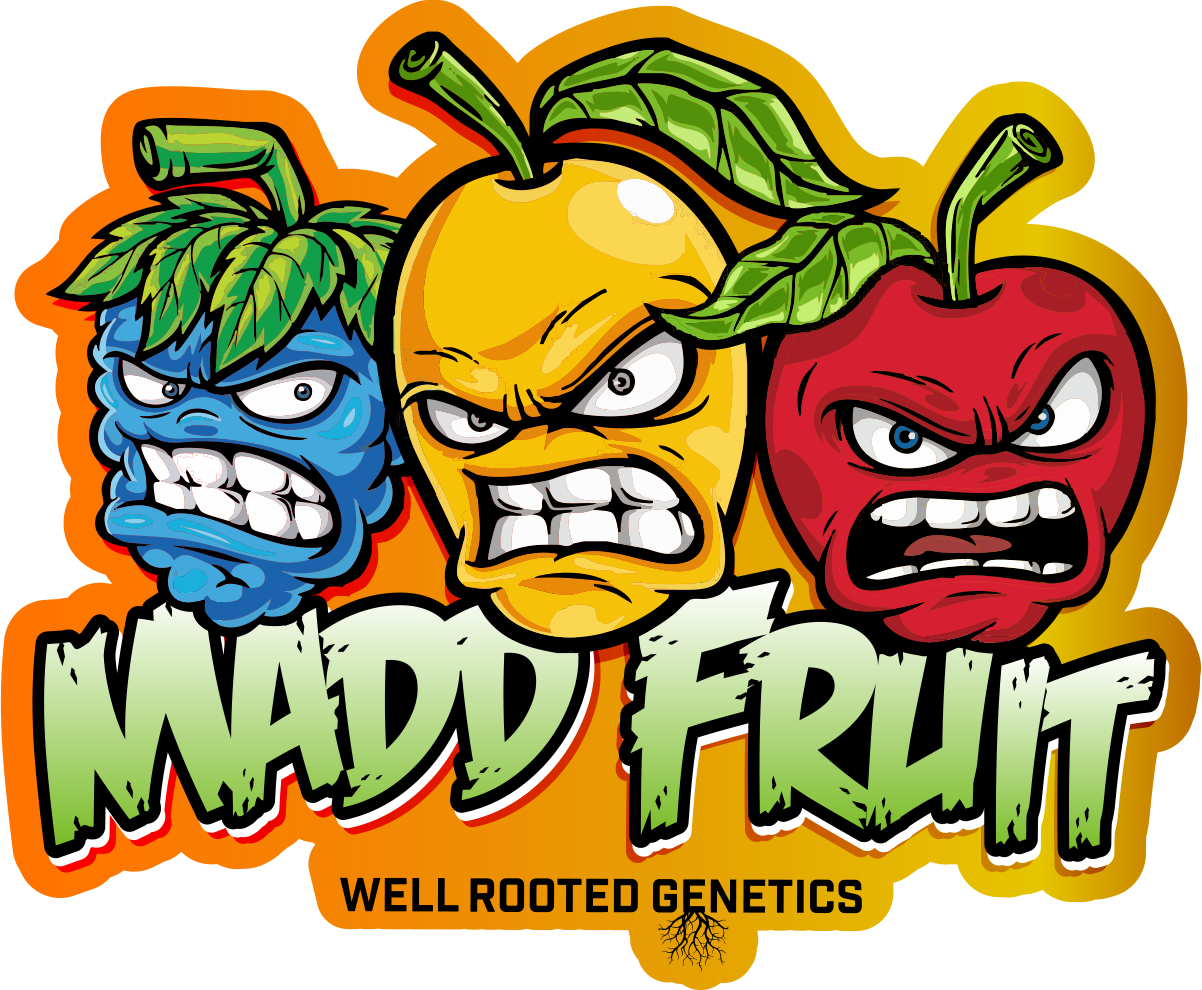 WRG Madd Fruit Final.png