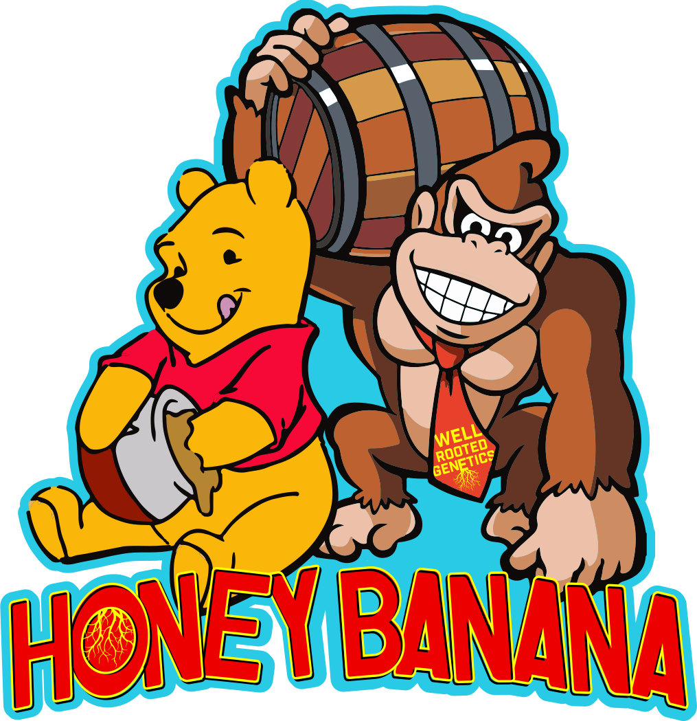 WRG Honey Banana Final.png