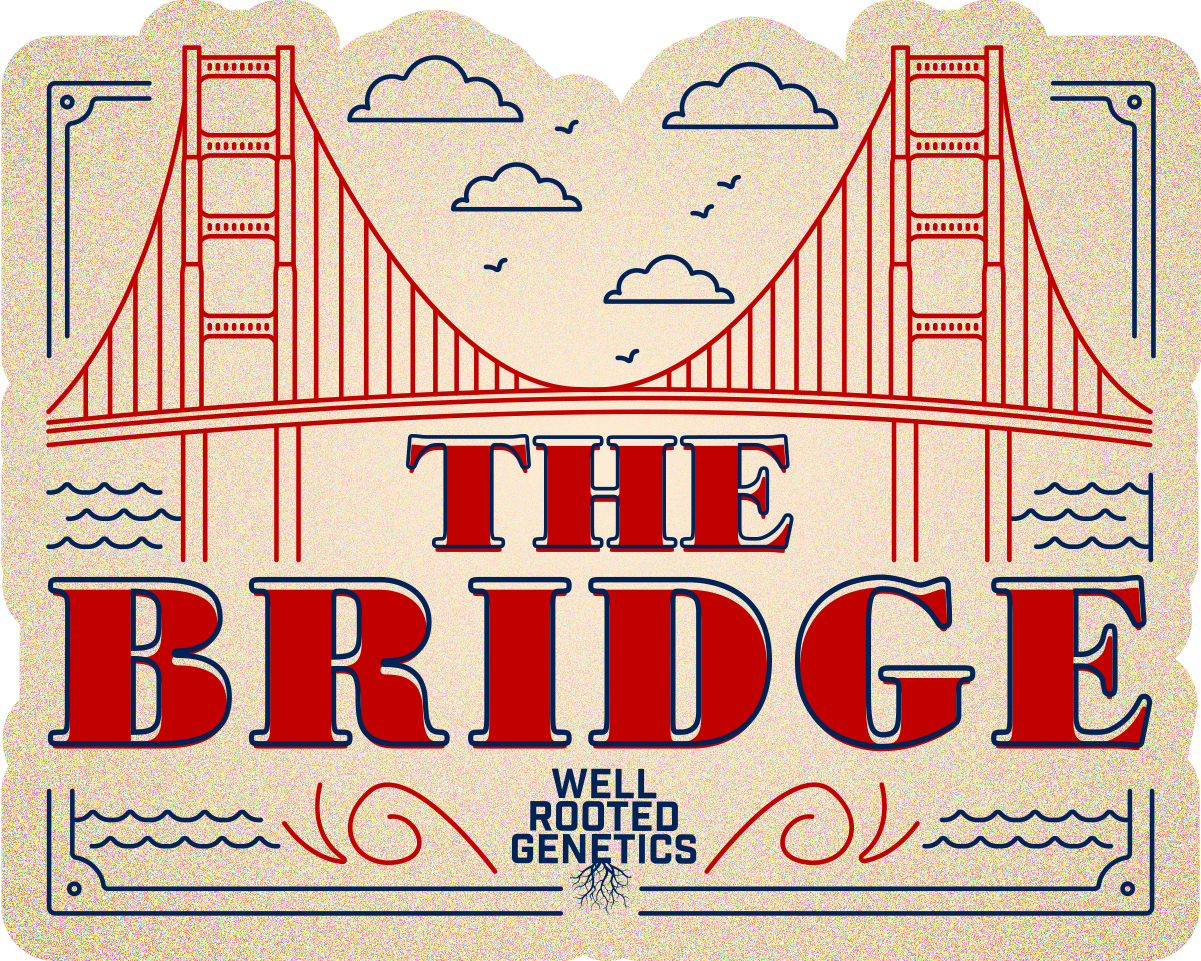 WRG The Bridge Final.png