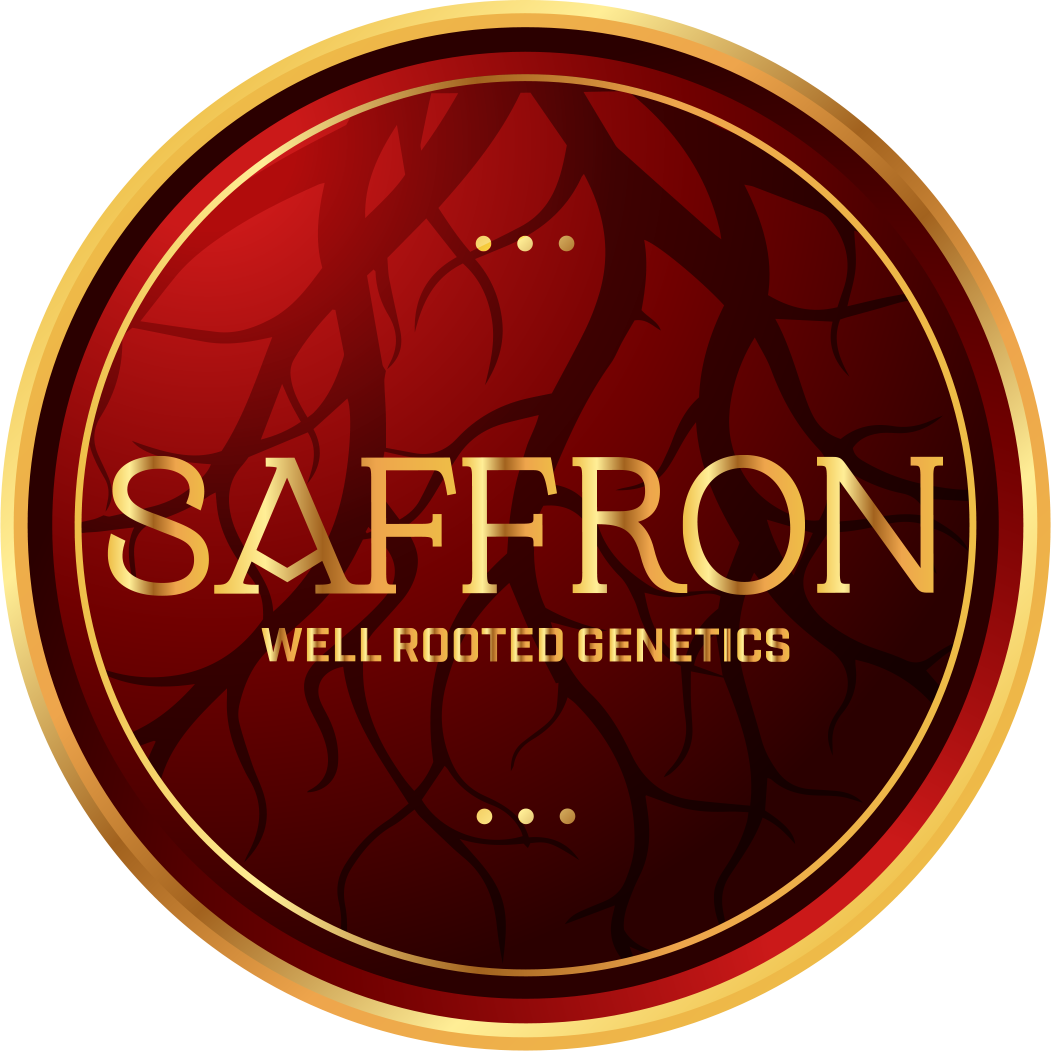 WRG Saffron Final.png