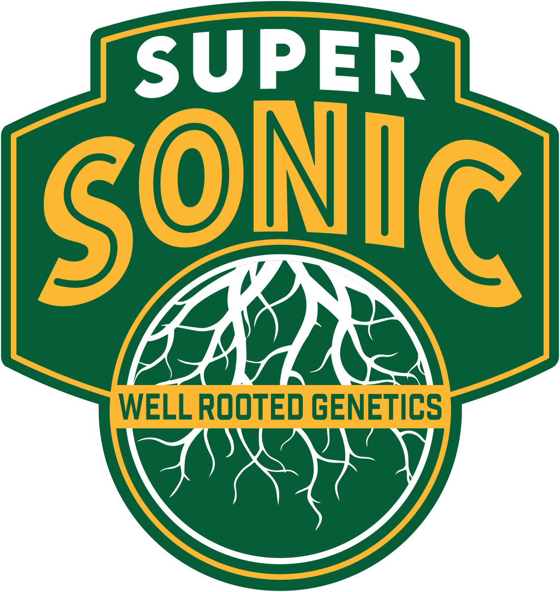 WRG Supersonic Final.png