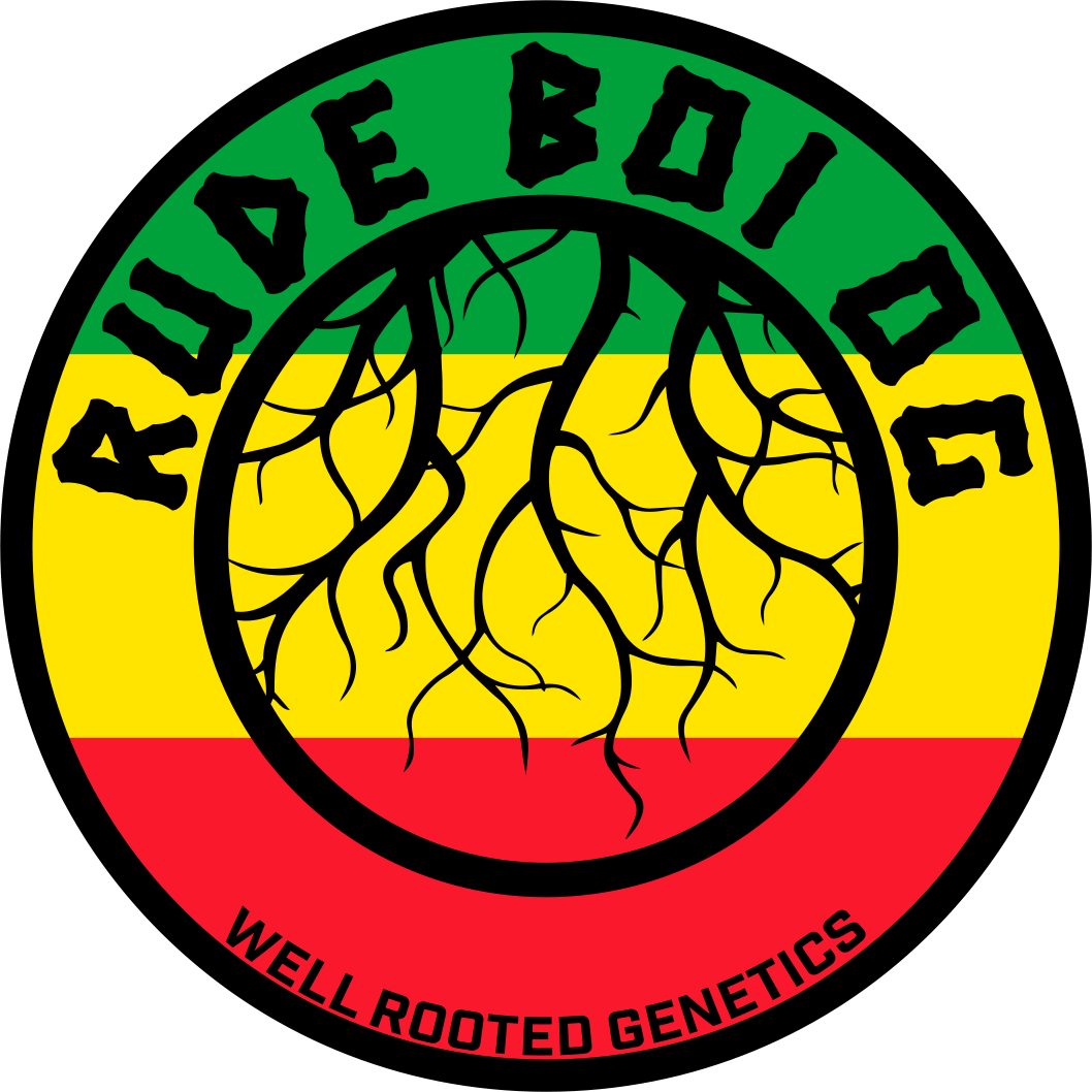 WRG Rude Boi OG Final.png