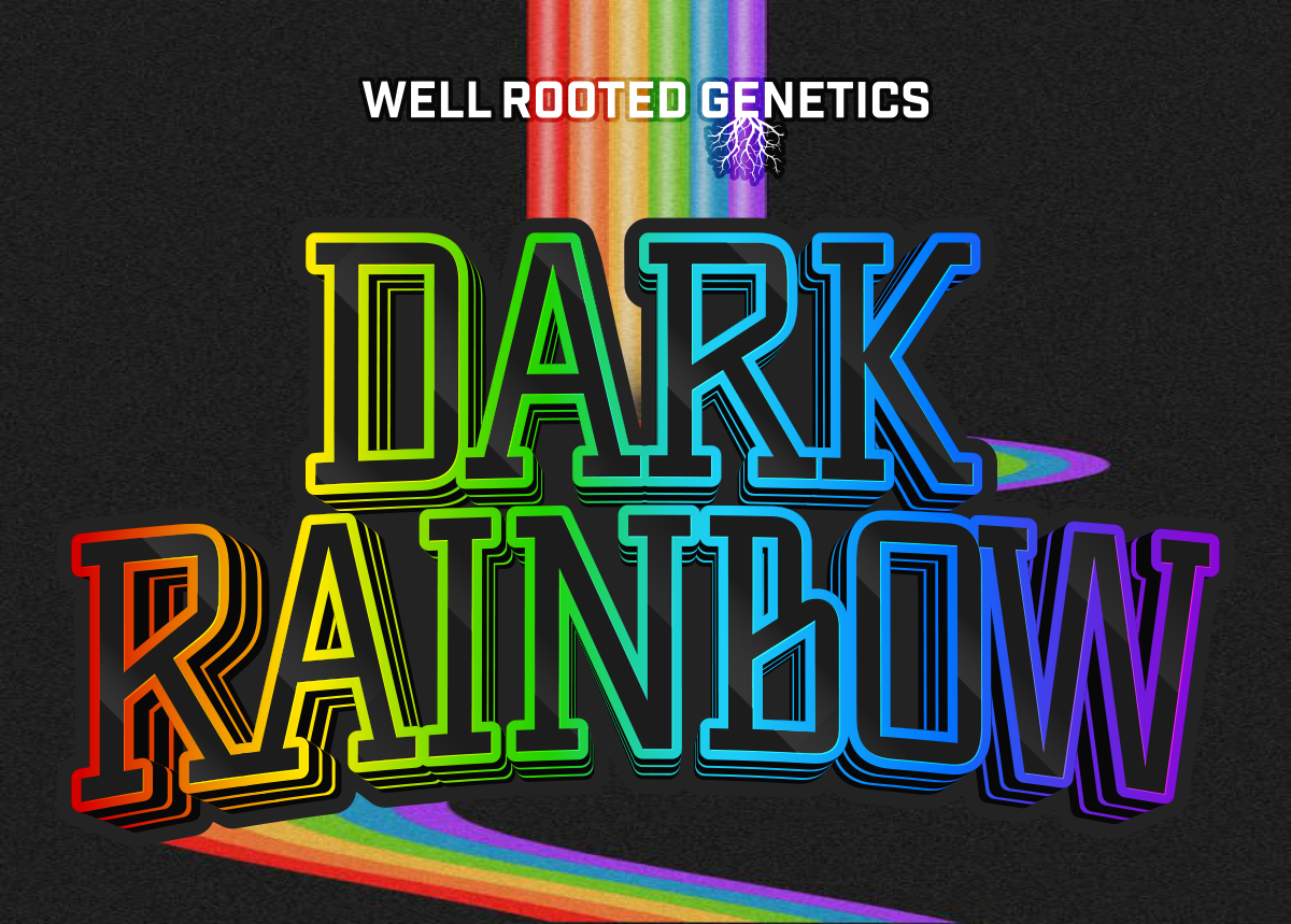 WRG Dark Rainbow Final.png