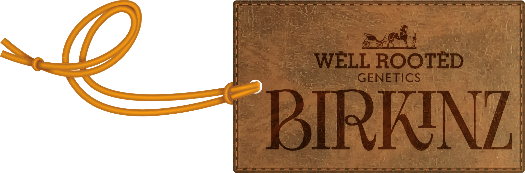 WRG Birkinz Final.png