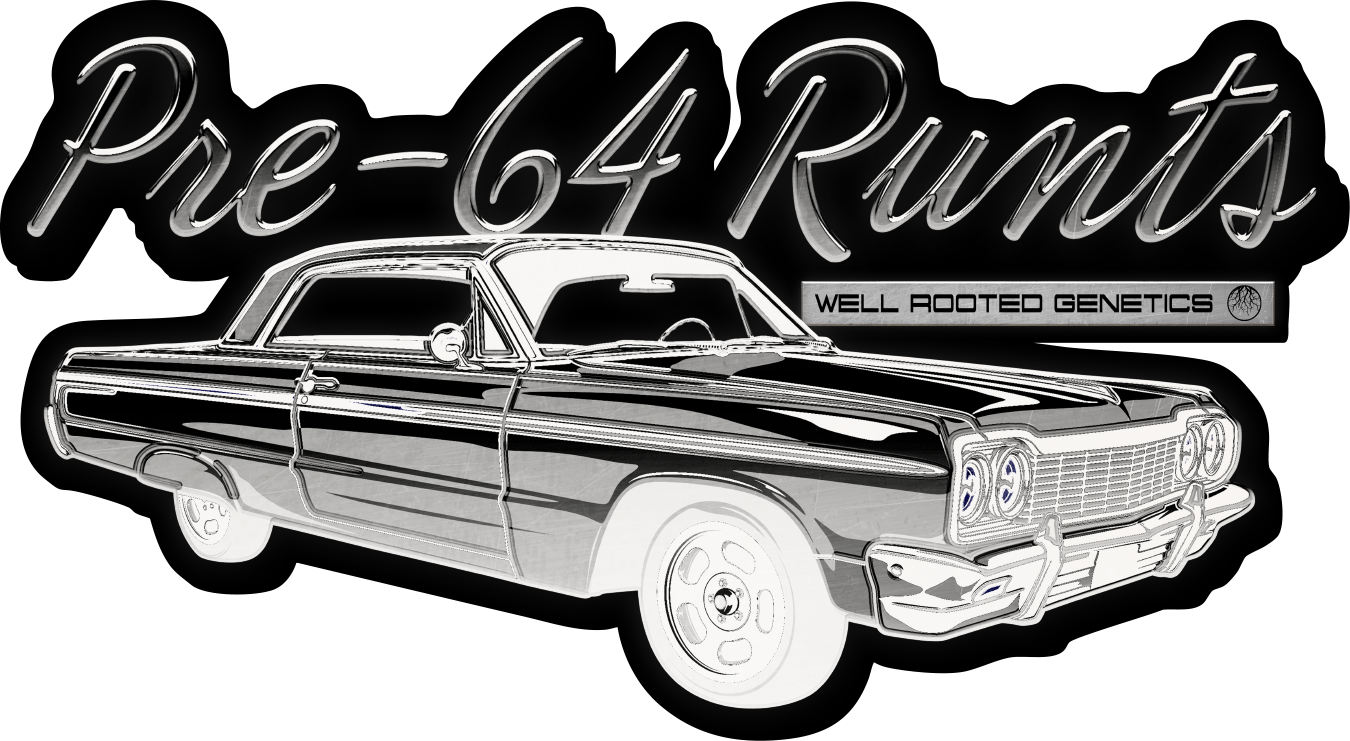 WRG Pre 64 Runtz B2 Final.png