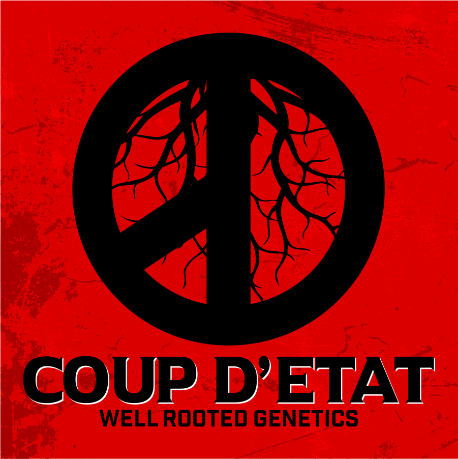 WRG Coup Detat Final.png