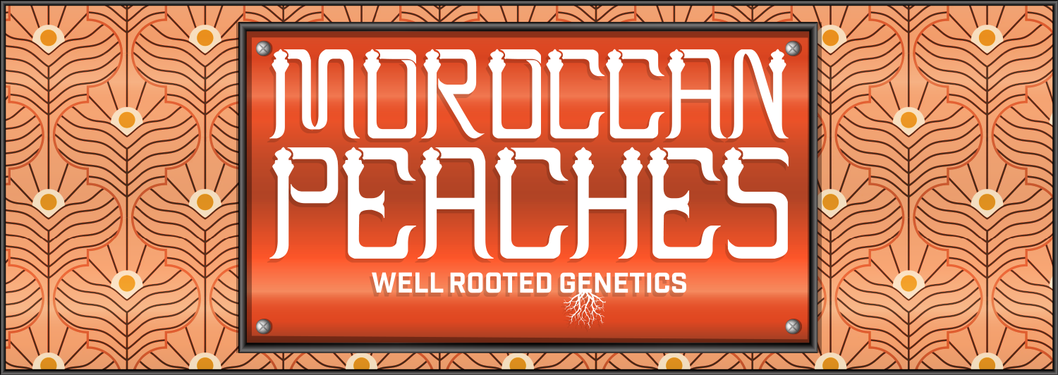 WRG Moroccan Peaches Final.png