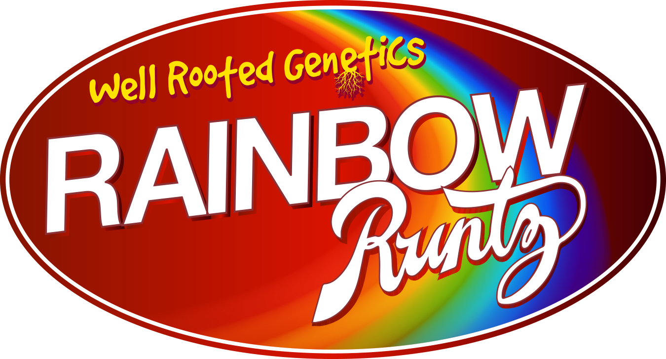 WRG Rainbow Runtz Final.png