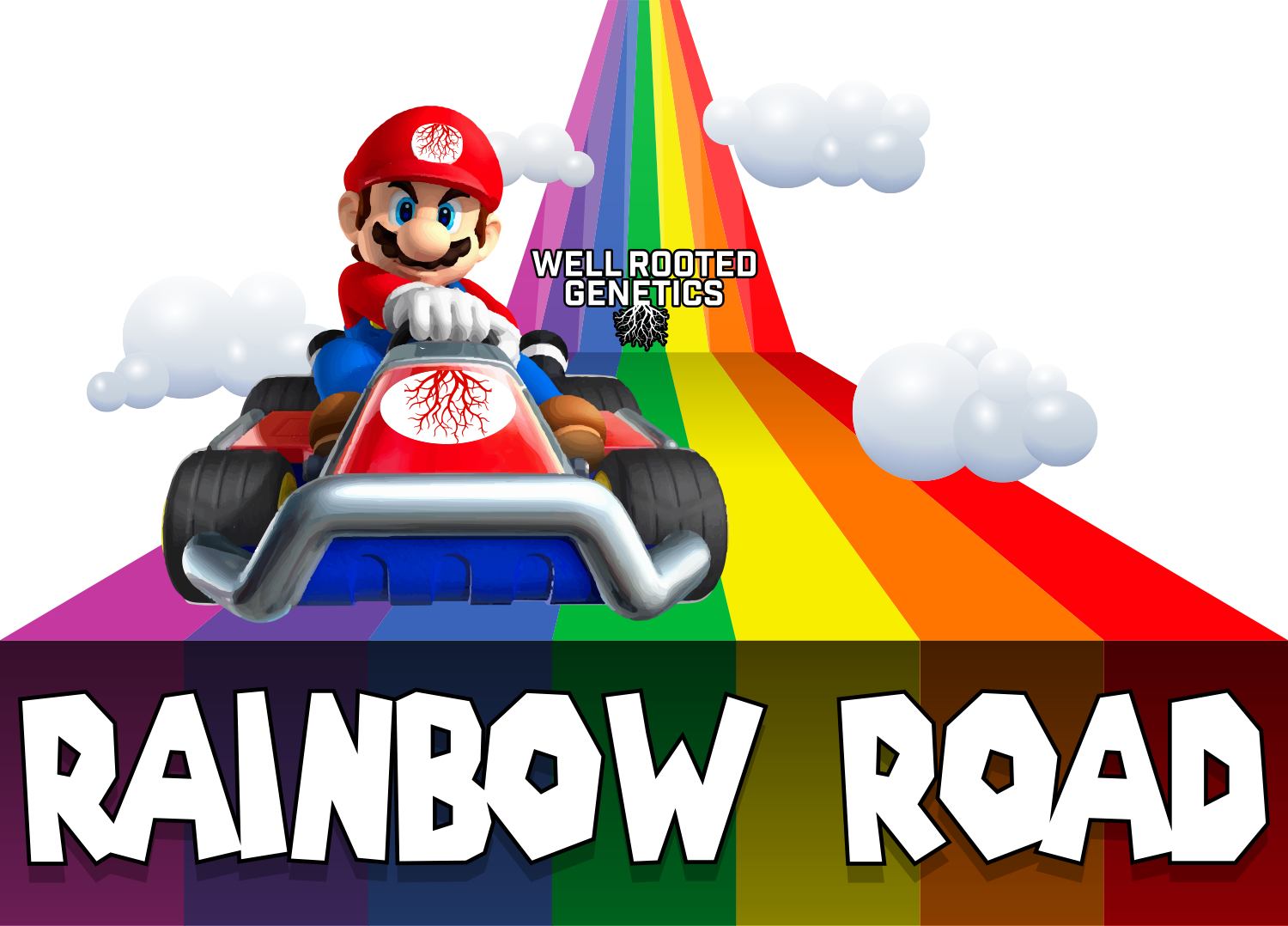 WRG Rainbow Road Final.png