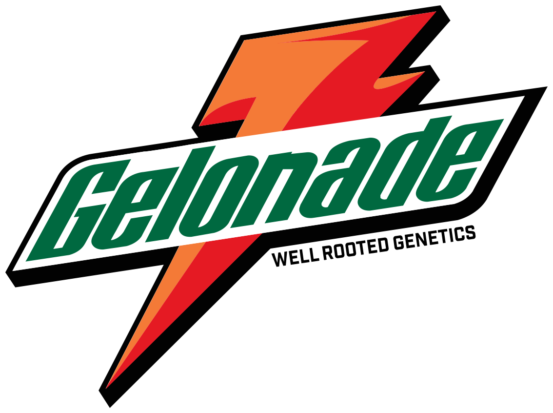 WRG Gelonade Final.png