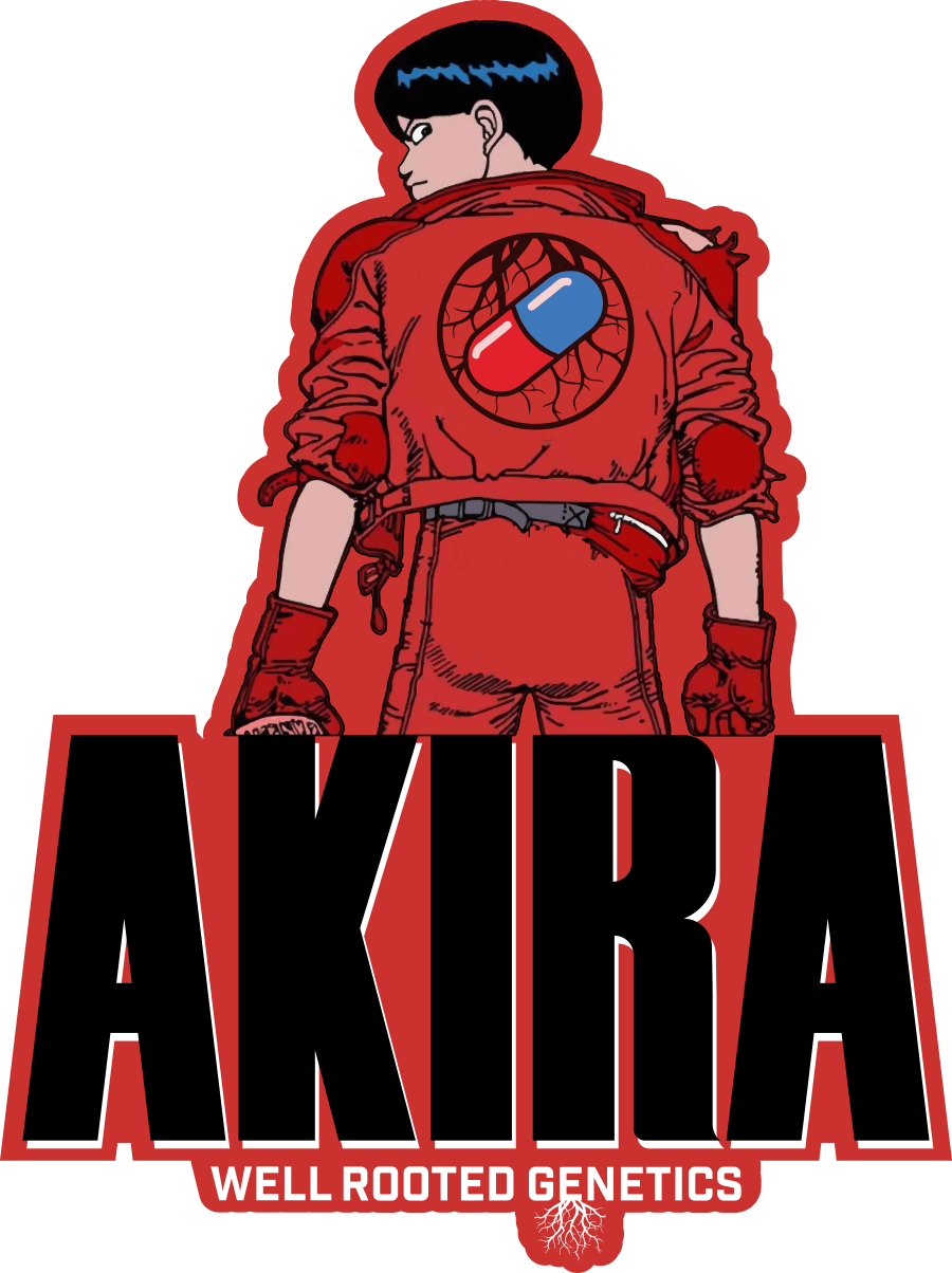 WRG Akira Final.png