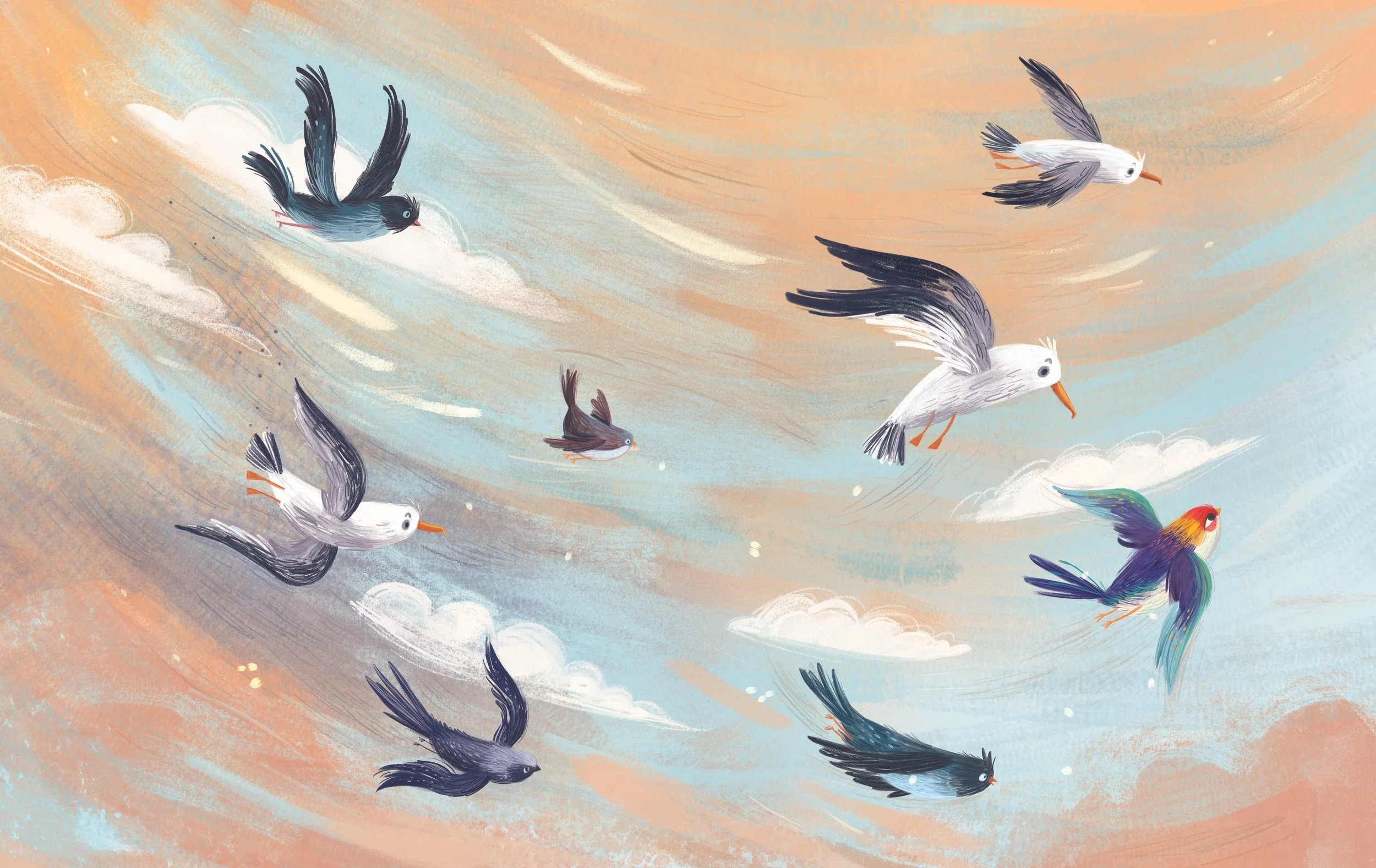 birds-design-illustration-rewerenda-books.jpg