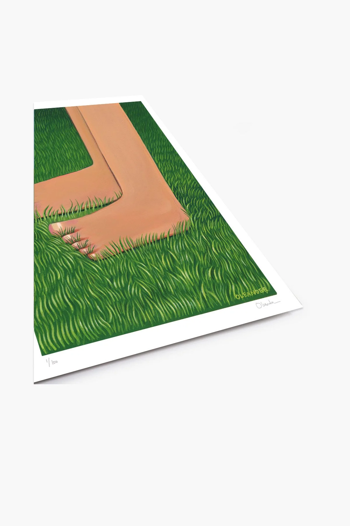 Feet On Grass_Print Sample_Web.jpg