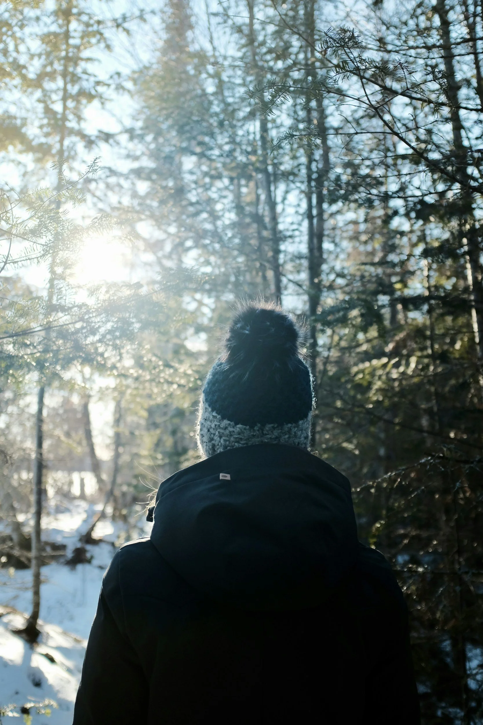 Forest Bathing