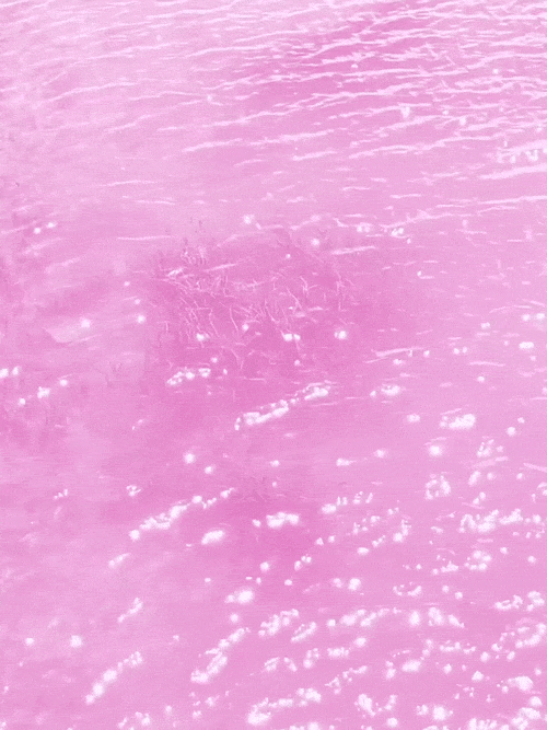 Throwing Glitter Gif Tumblr