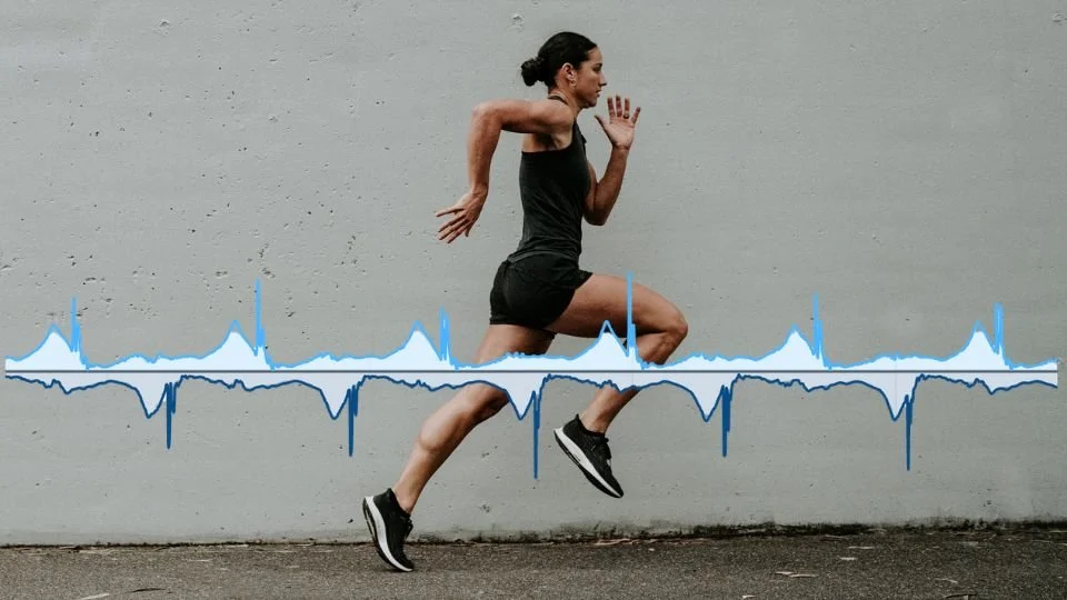 Significance and Application of Movement Data