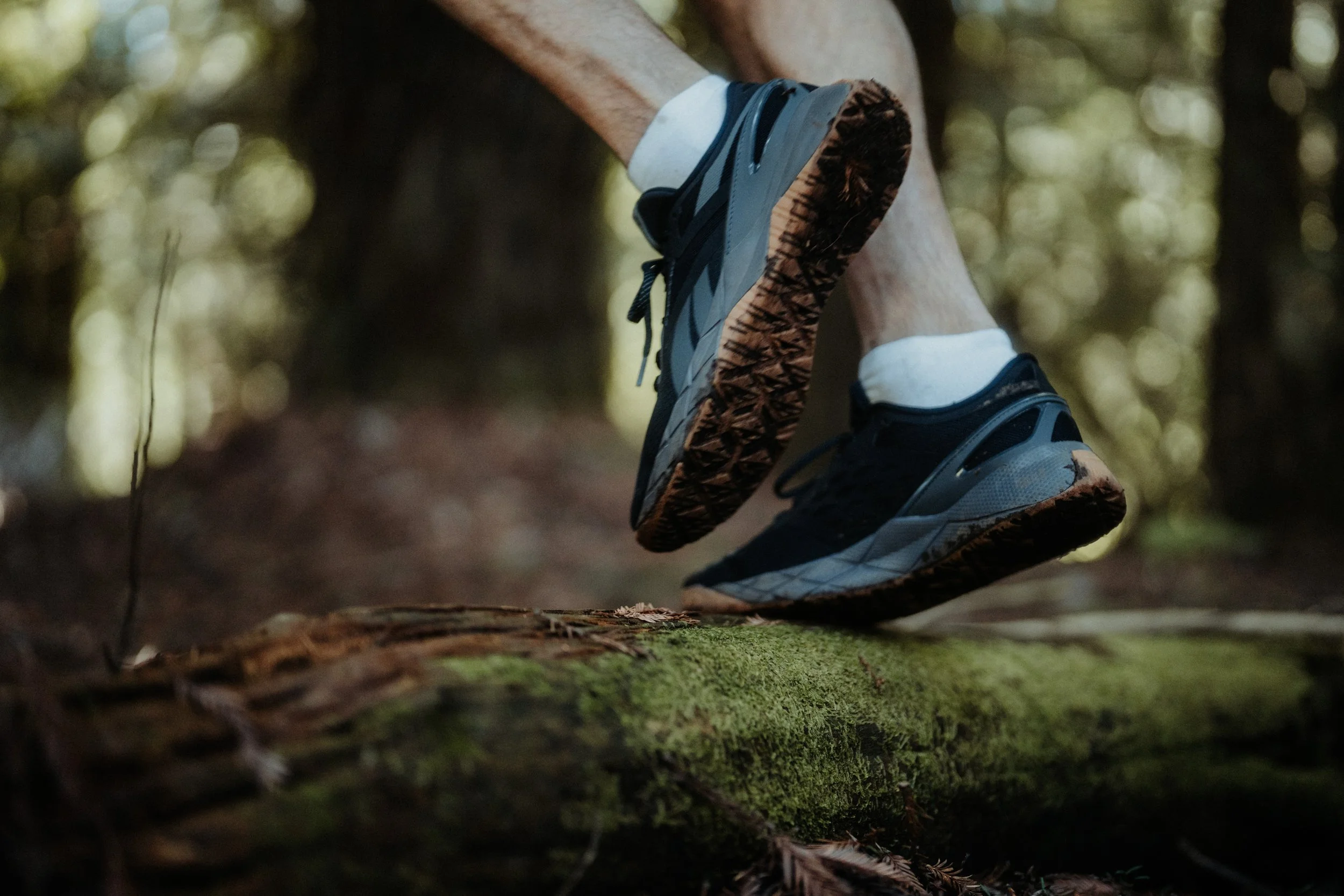 Using Data To Fill In The Gaps