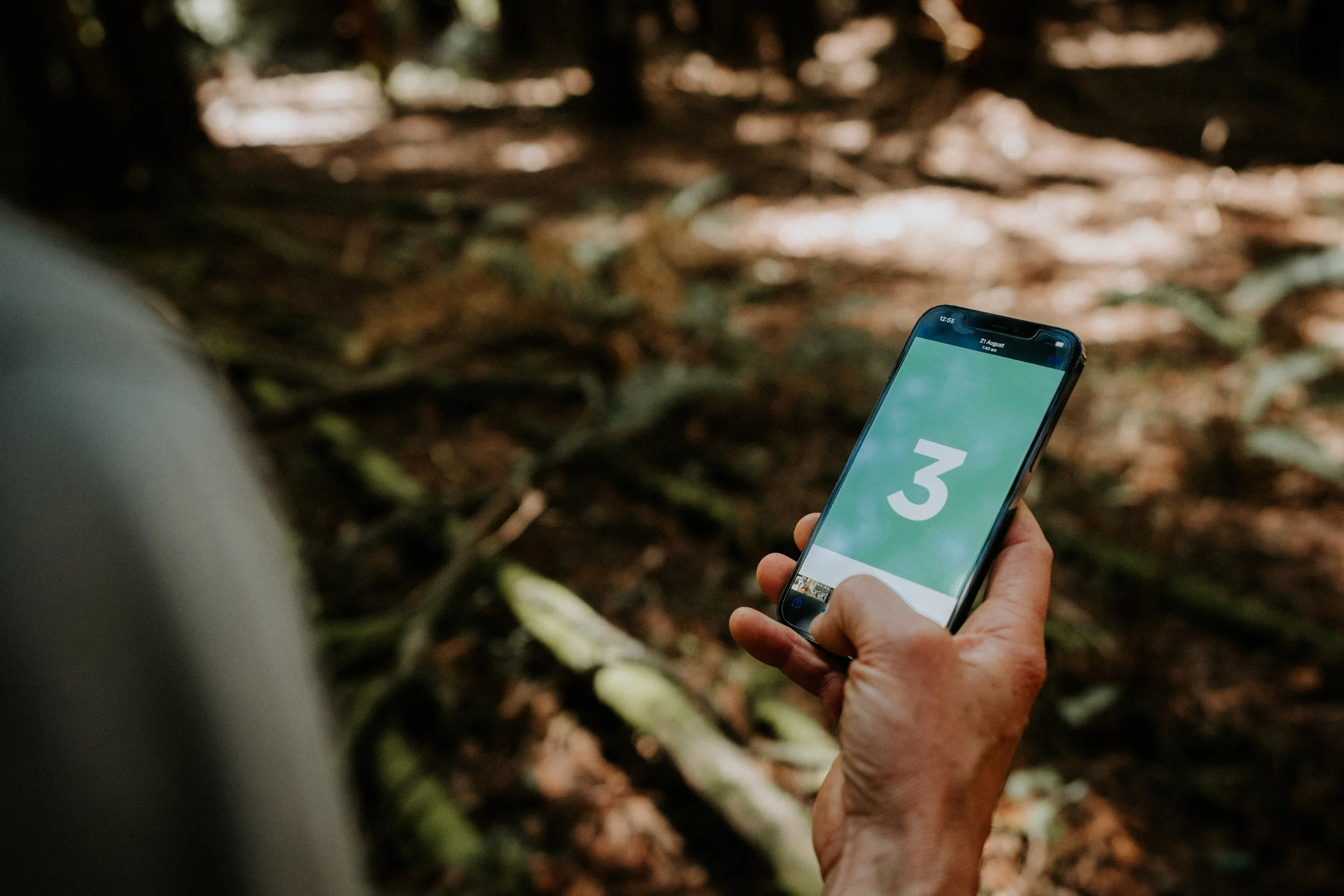 Musculoskeletal Telehealth