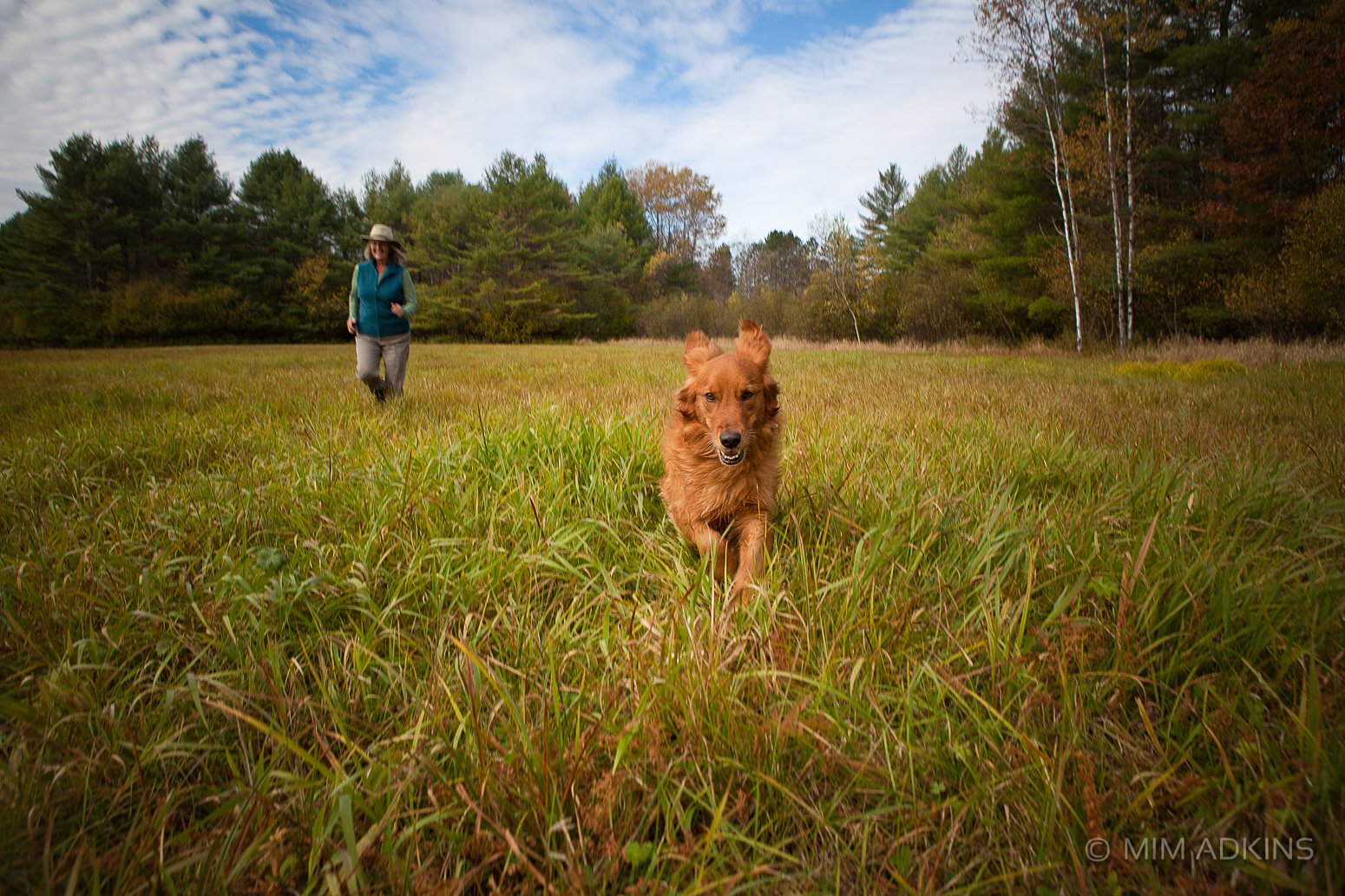 0012_0003_TPL2013_MimAdkinsPhoto.jpg