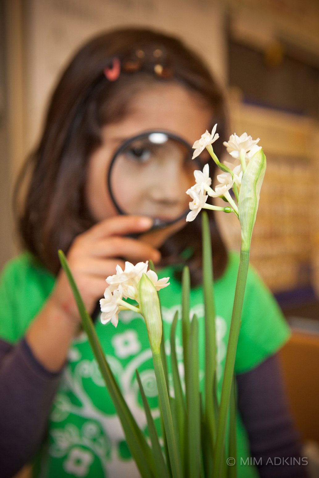 0001_ML2014_MimAdkinsPhoto.jpg